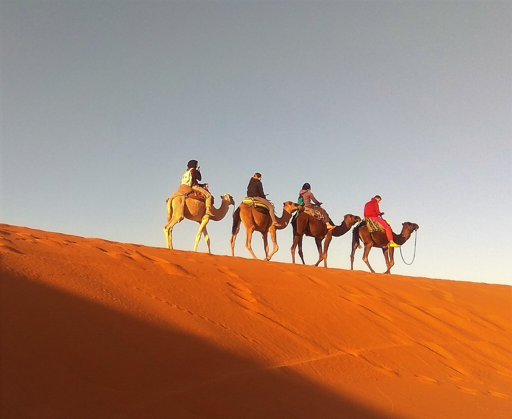 Все краски Магриба (2/53)