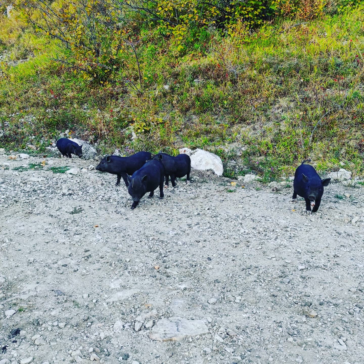 Relax в Адыгее. Spa-тур и активити (26/38)