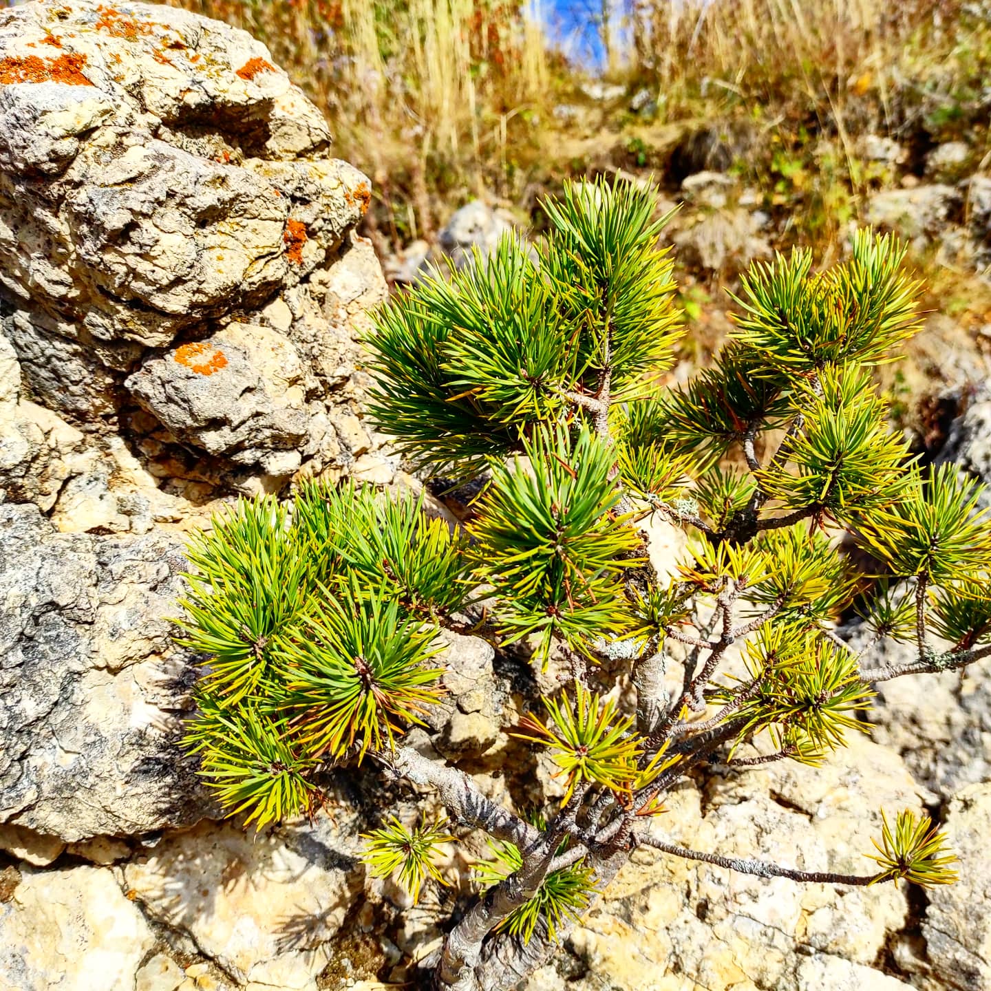 Relax в Адыгее. Spa-тур и активити (27/38)