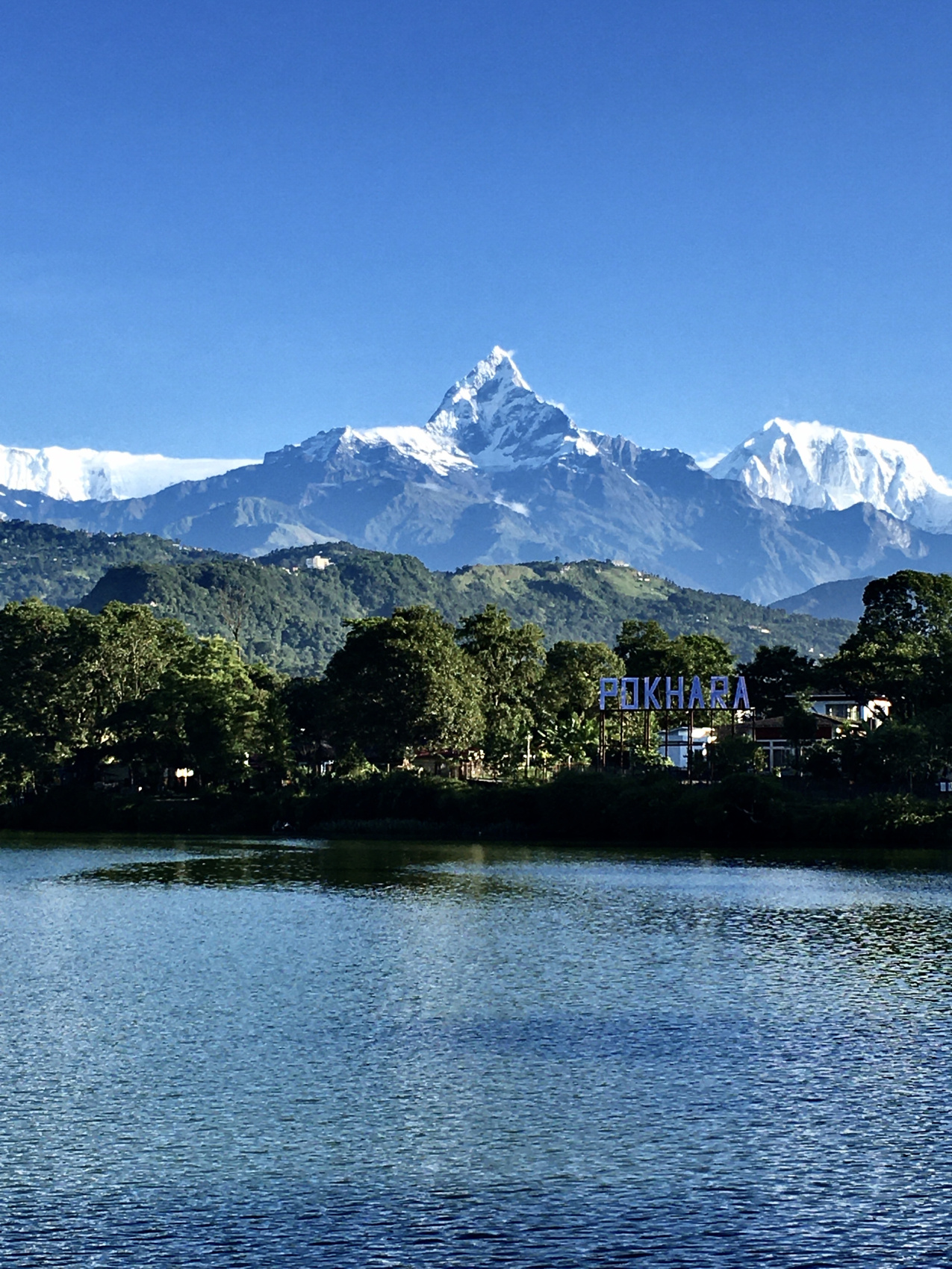 Цветок Непала (7/76)