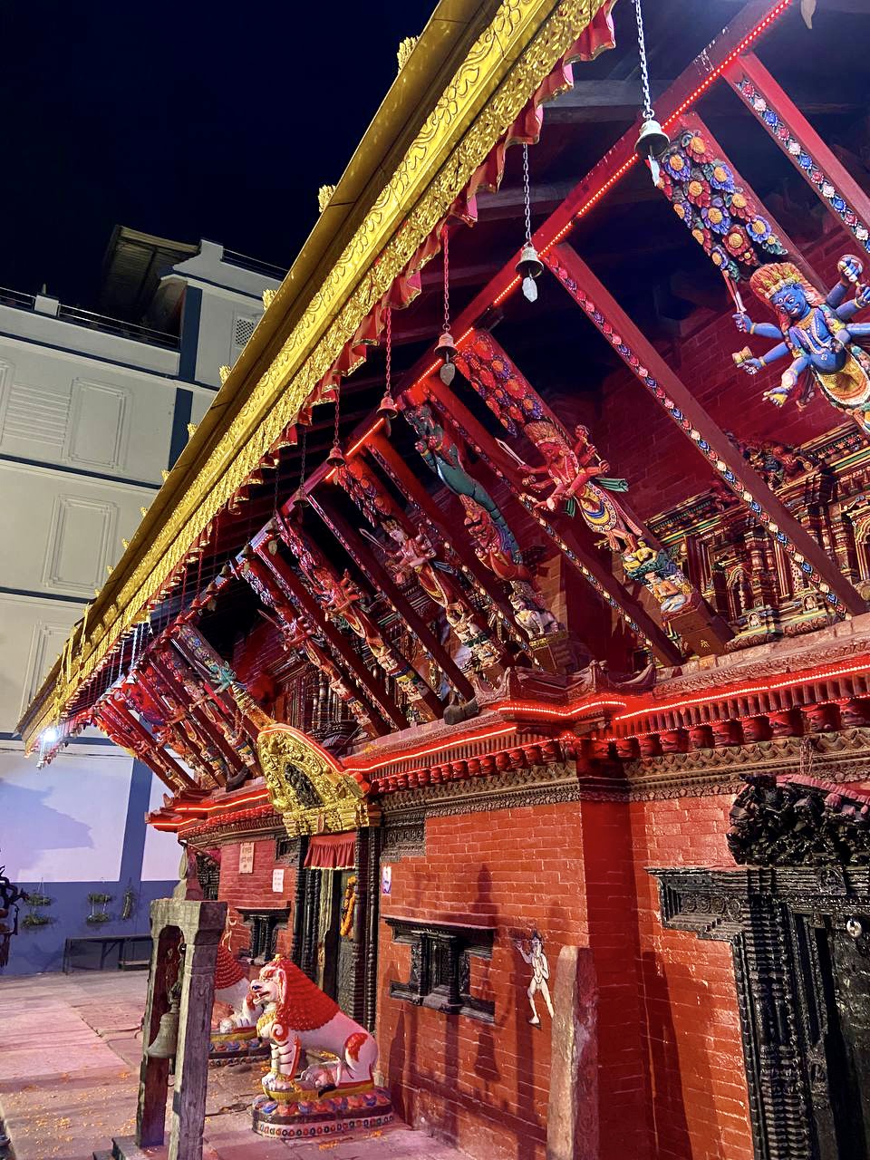 Цветок Непала (9/76)