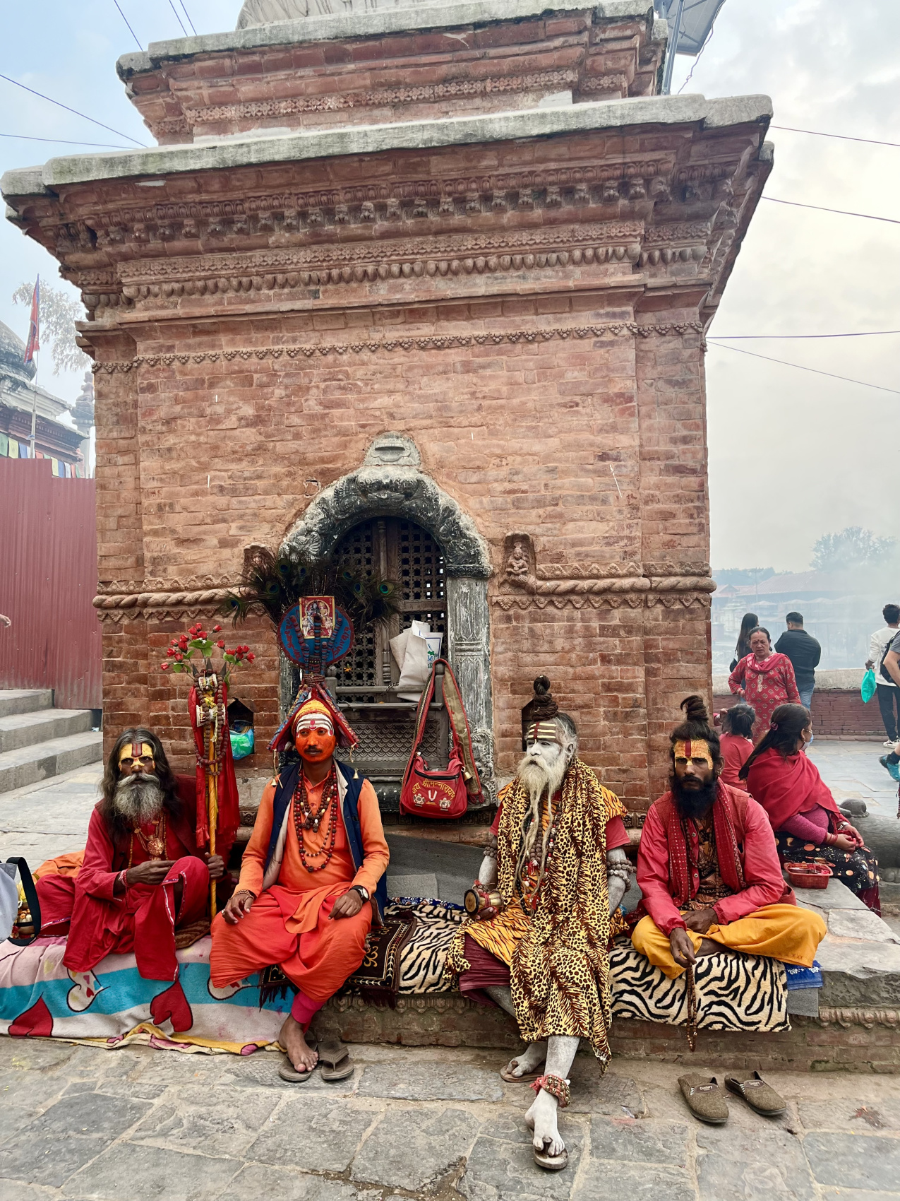 Цветок Непала (16/76)