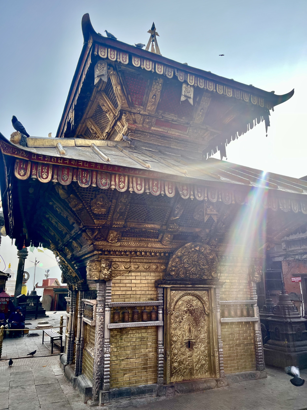 Цветок Непала (17/76)