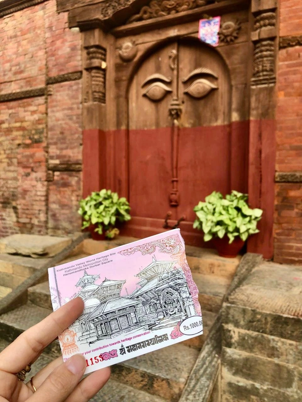 Цветок Непала (14/76)