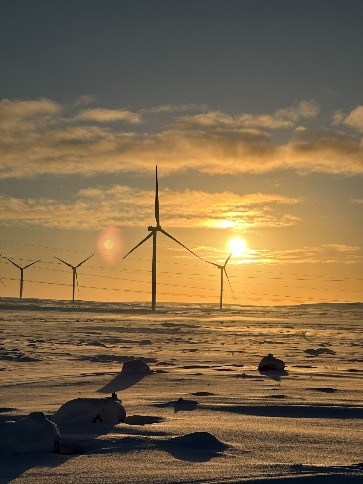 В поисках Китов и Северного сияния: загадочная Териберка (17/67)