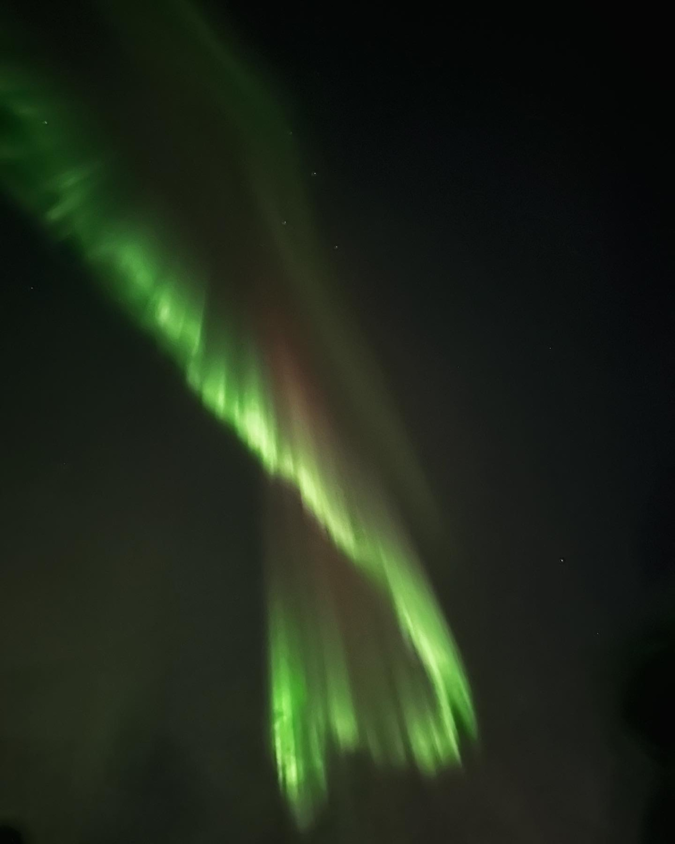 В поисках Китов и Северного сияния: загадочная Териберка (25/67)