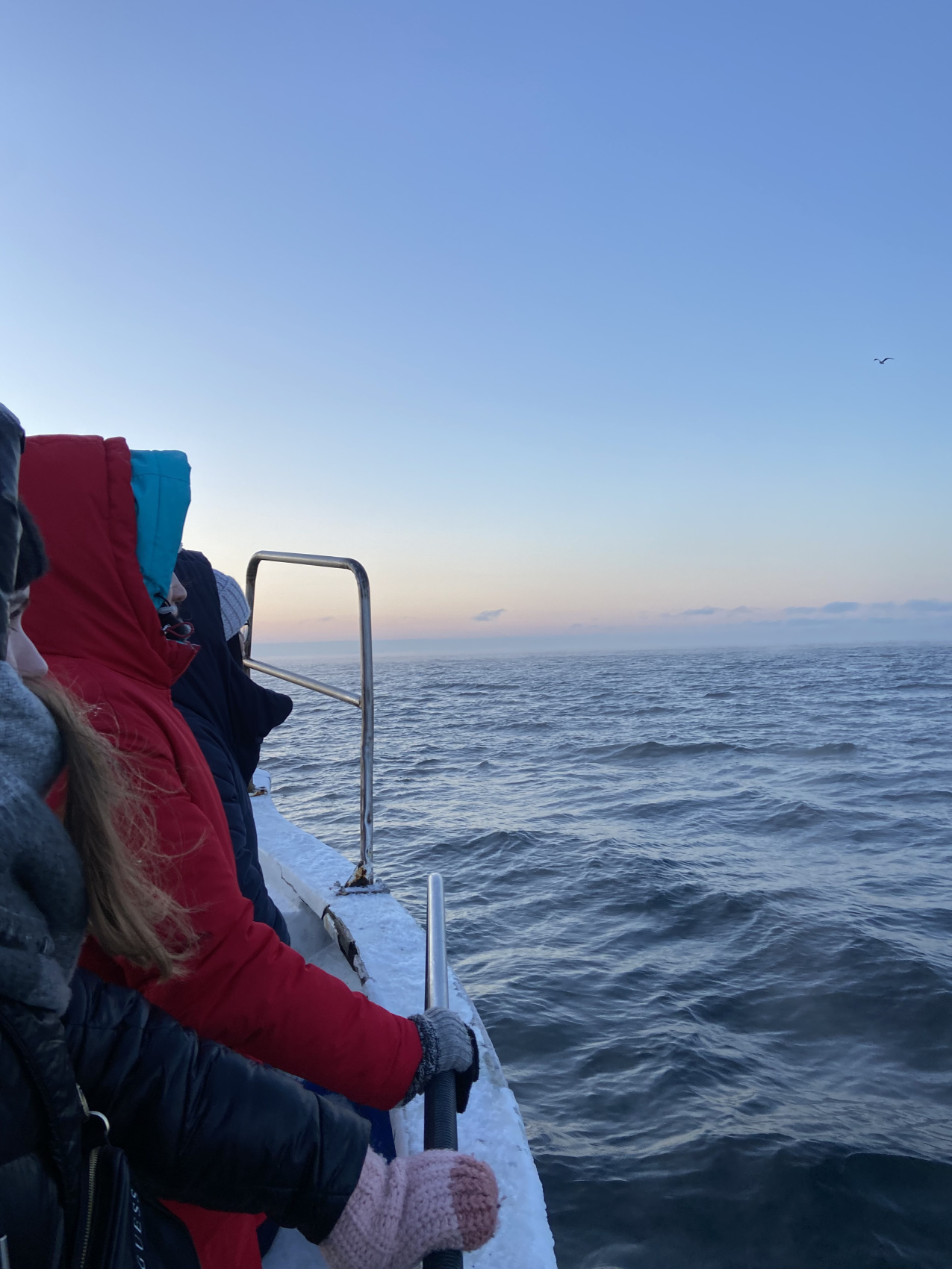 В поисках Китов и Северного сияния: загадочная Териберка (7/67)