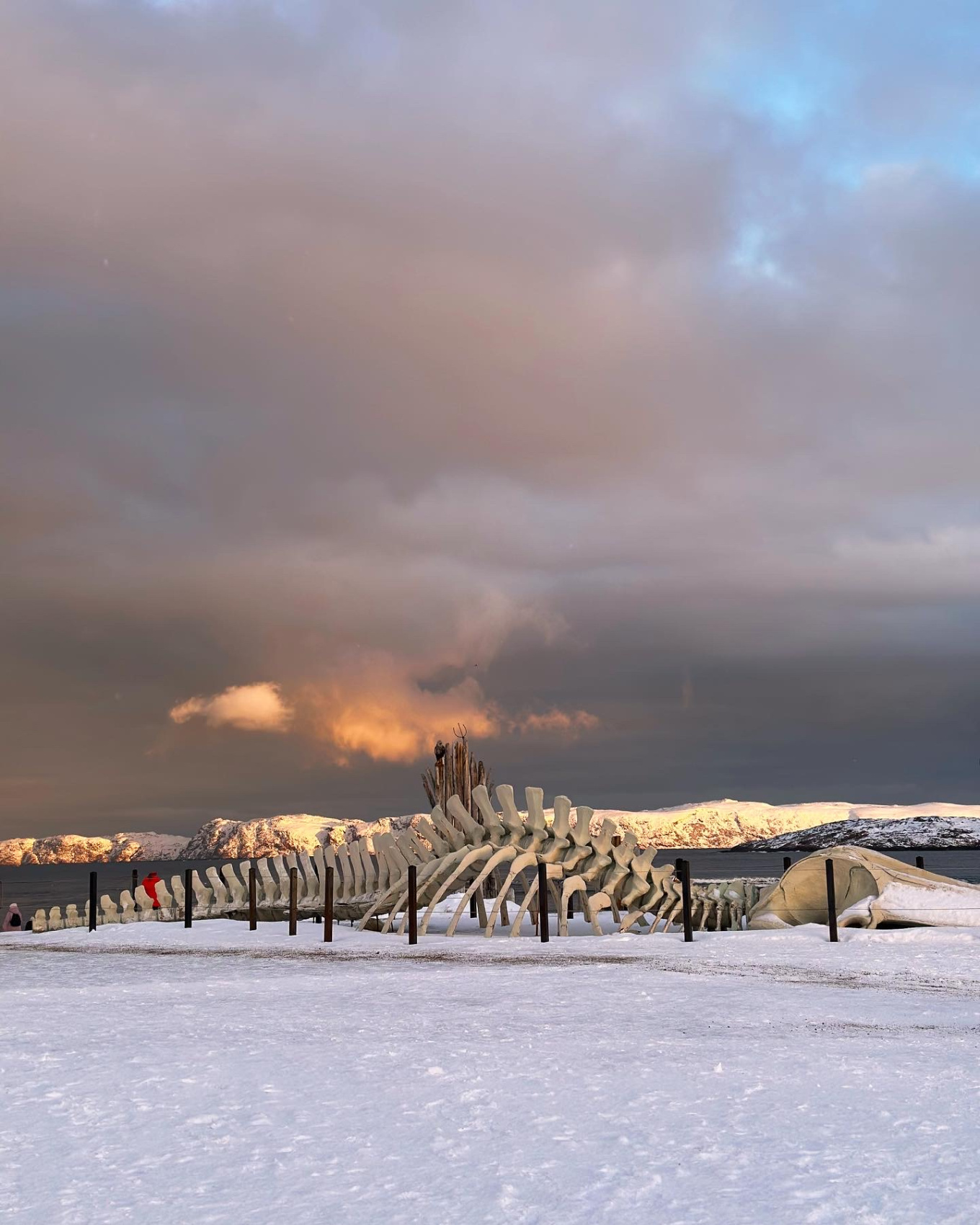 В поисках Китов и Северного сияния: загадочная Териберка (12/67)