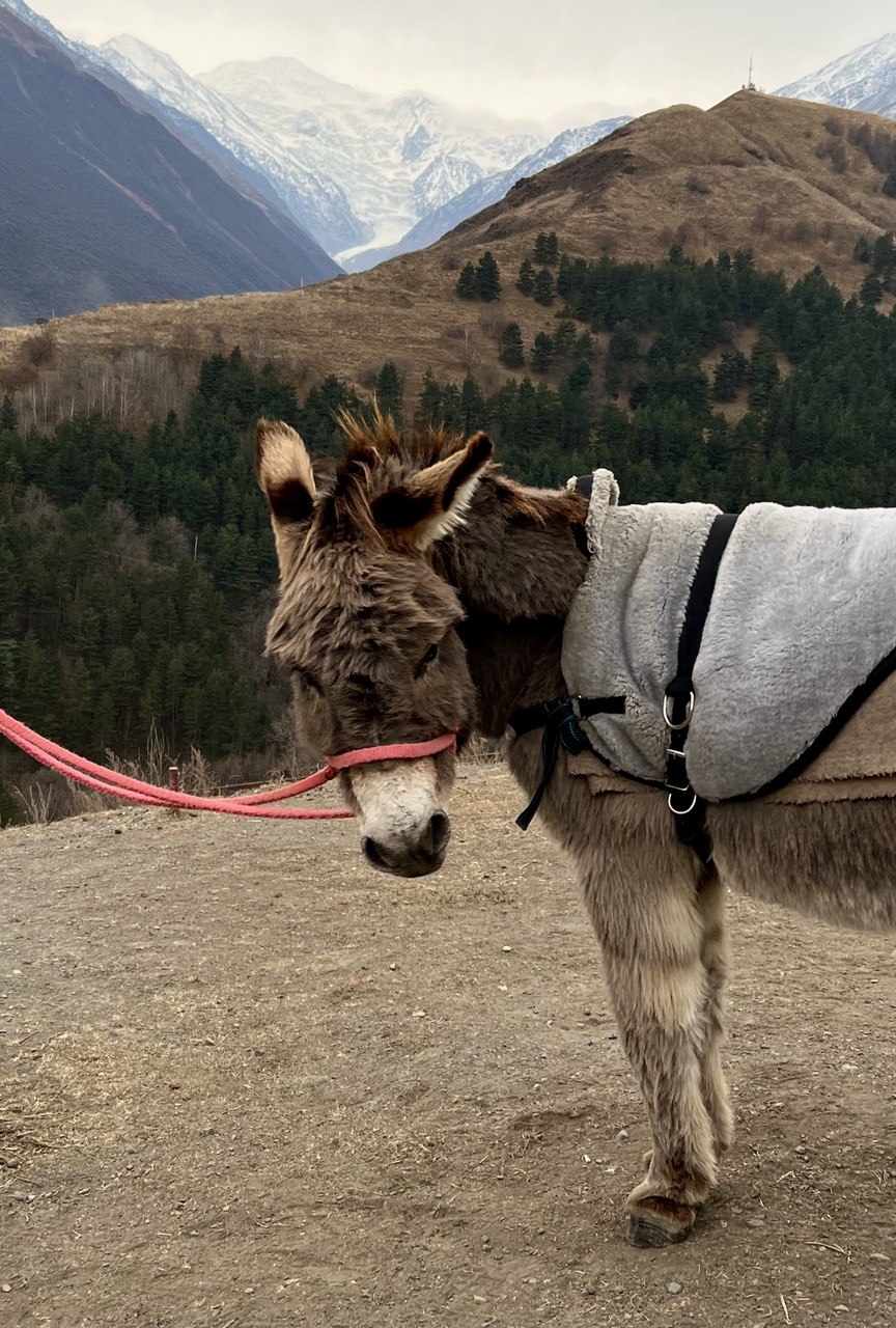 Притяжение Кавказа (7/32)