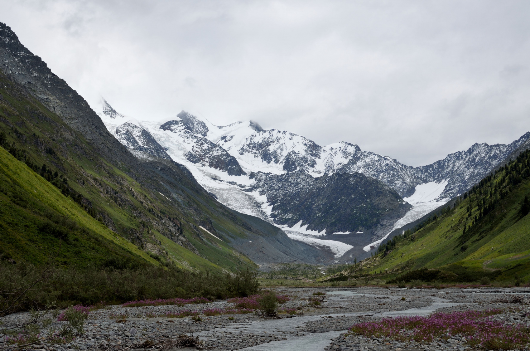 Восхождение на Белуху с юга (7/53)