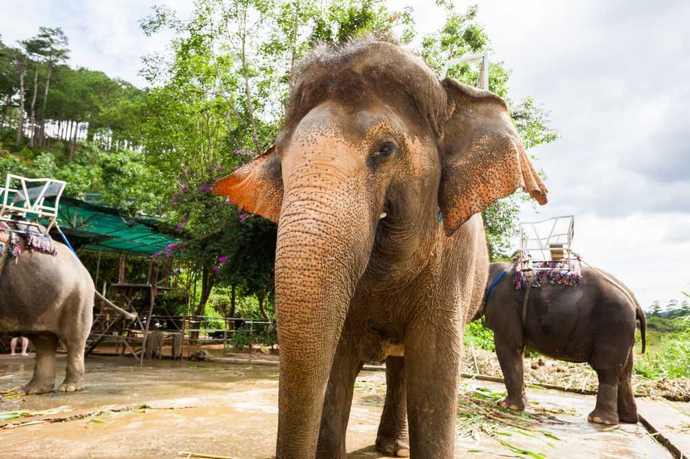 Весь Вьетнам: с Севера на Юг за 17 дней (22/81)