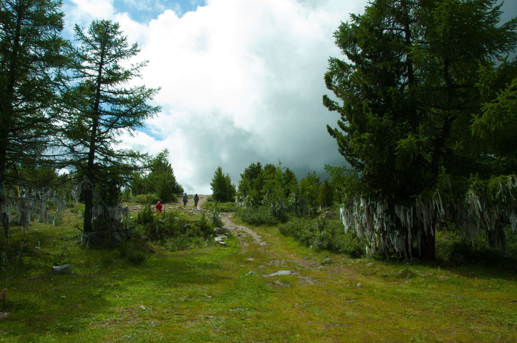 Пантовые ванны (22/38)