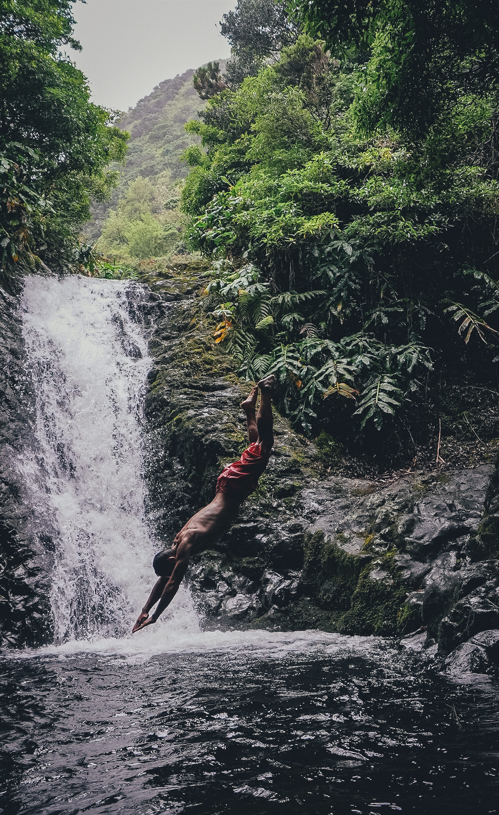 Затерянный мир: Азорские острова (46/55)