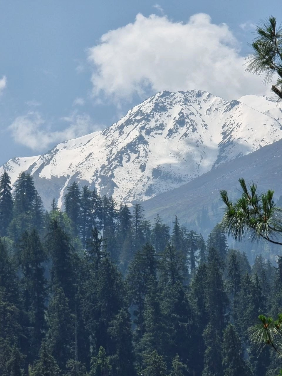 Индия: Долины Богов (12/92)