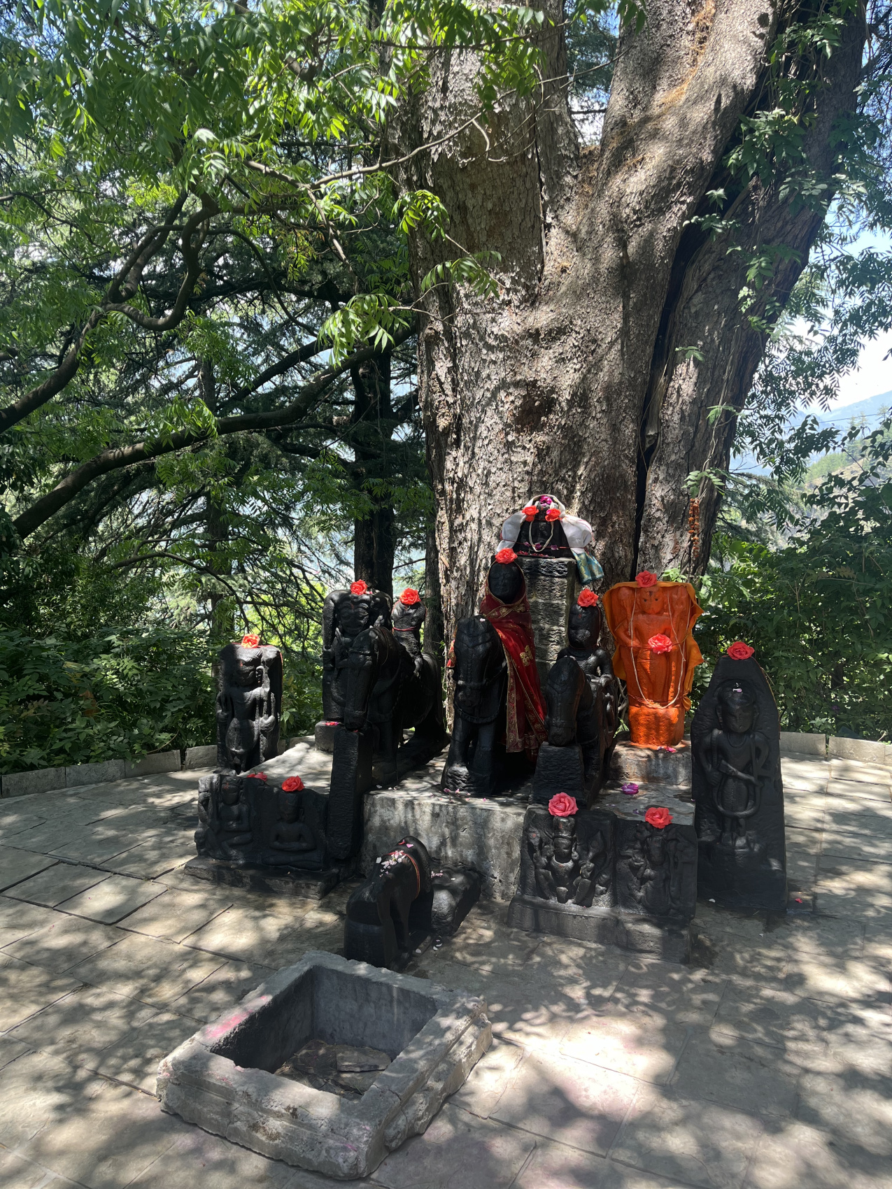 Индия: Долины Богов (11/92)