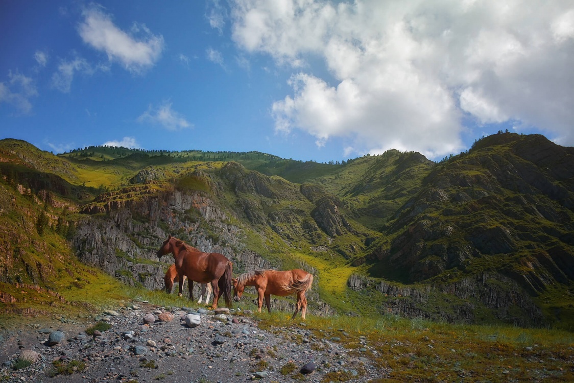 Шавлинские озёра + Каракабак (налегке) (2/35)