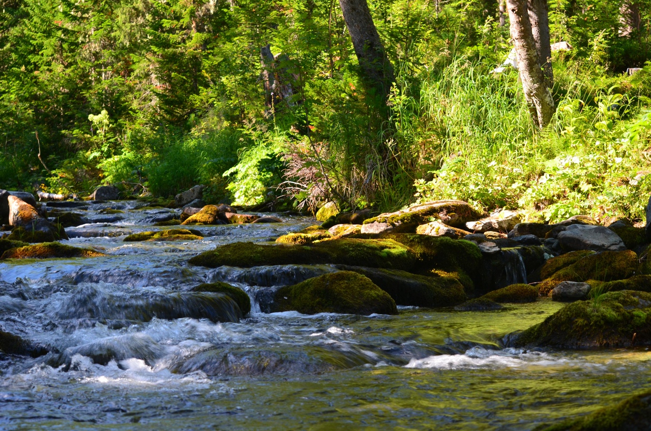 Комбинированный пеше-вертолётный тур на плато Маньпупунёр (14/50)