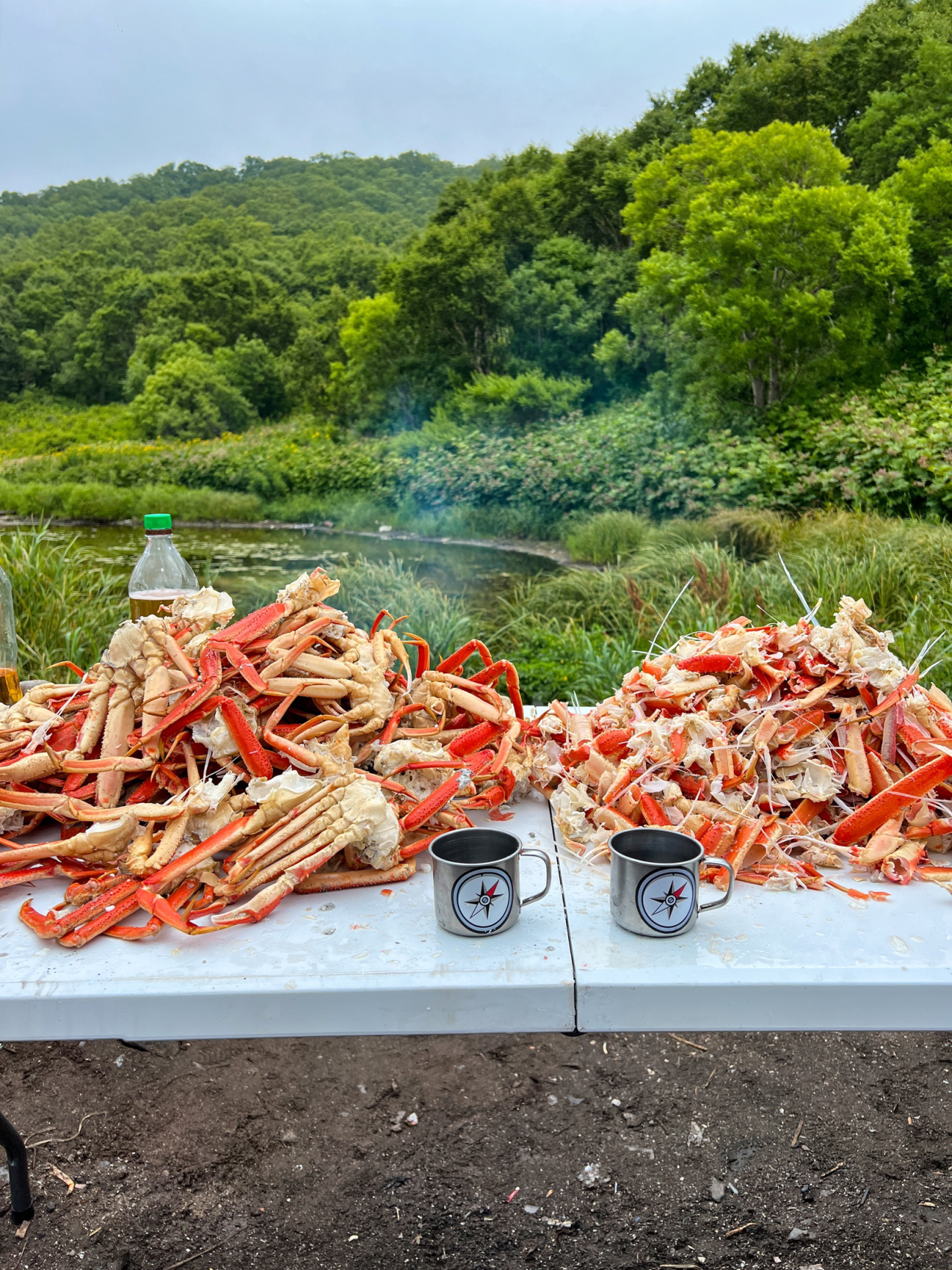 Камчатка с комфортом на «все включено» (53/146)