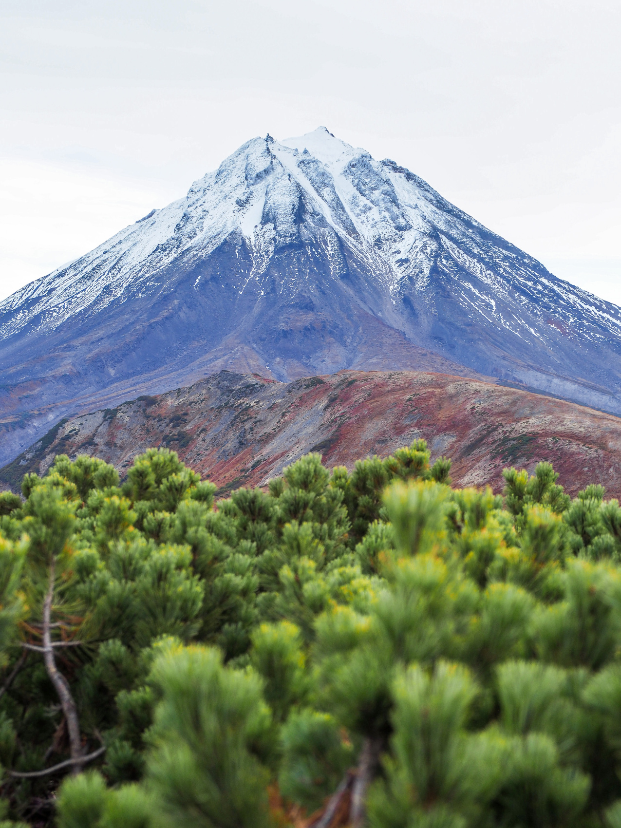 Камчатка: полное погружение (9/46)