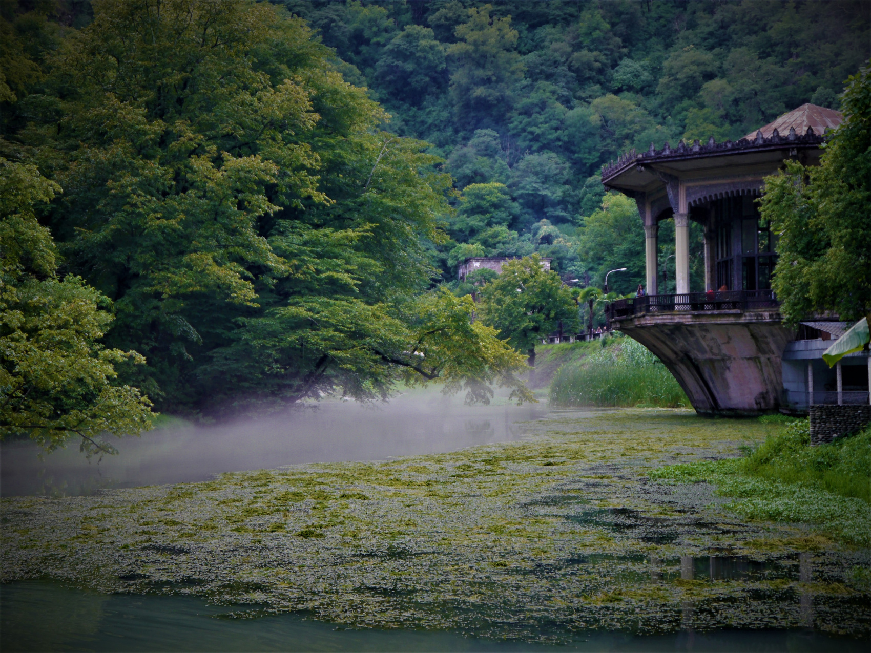 Большая душа маленькой Абхазии (50/88)