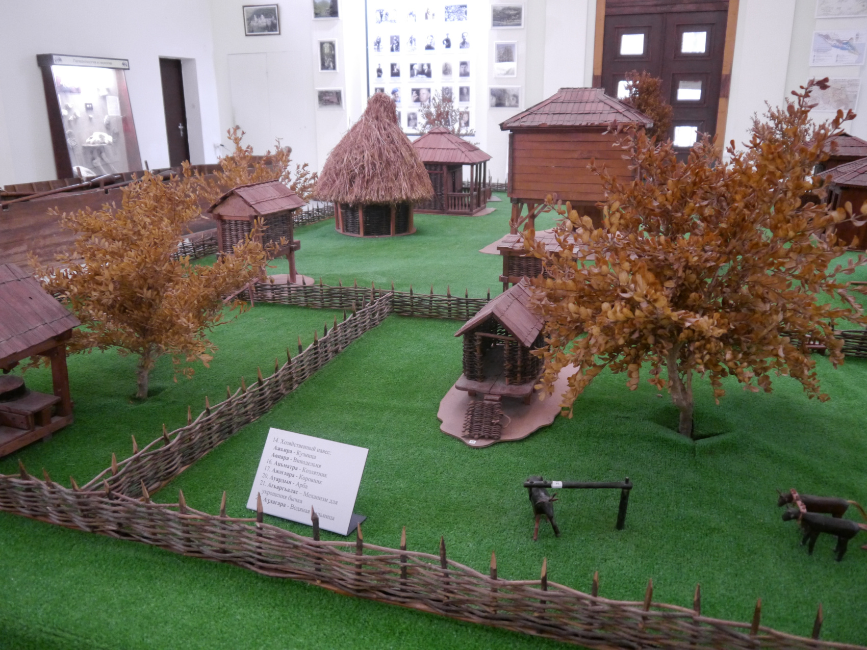 Большая душа маленькой Абхазии (24/88)