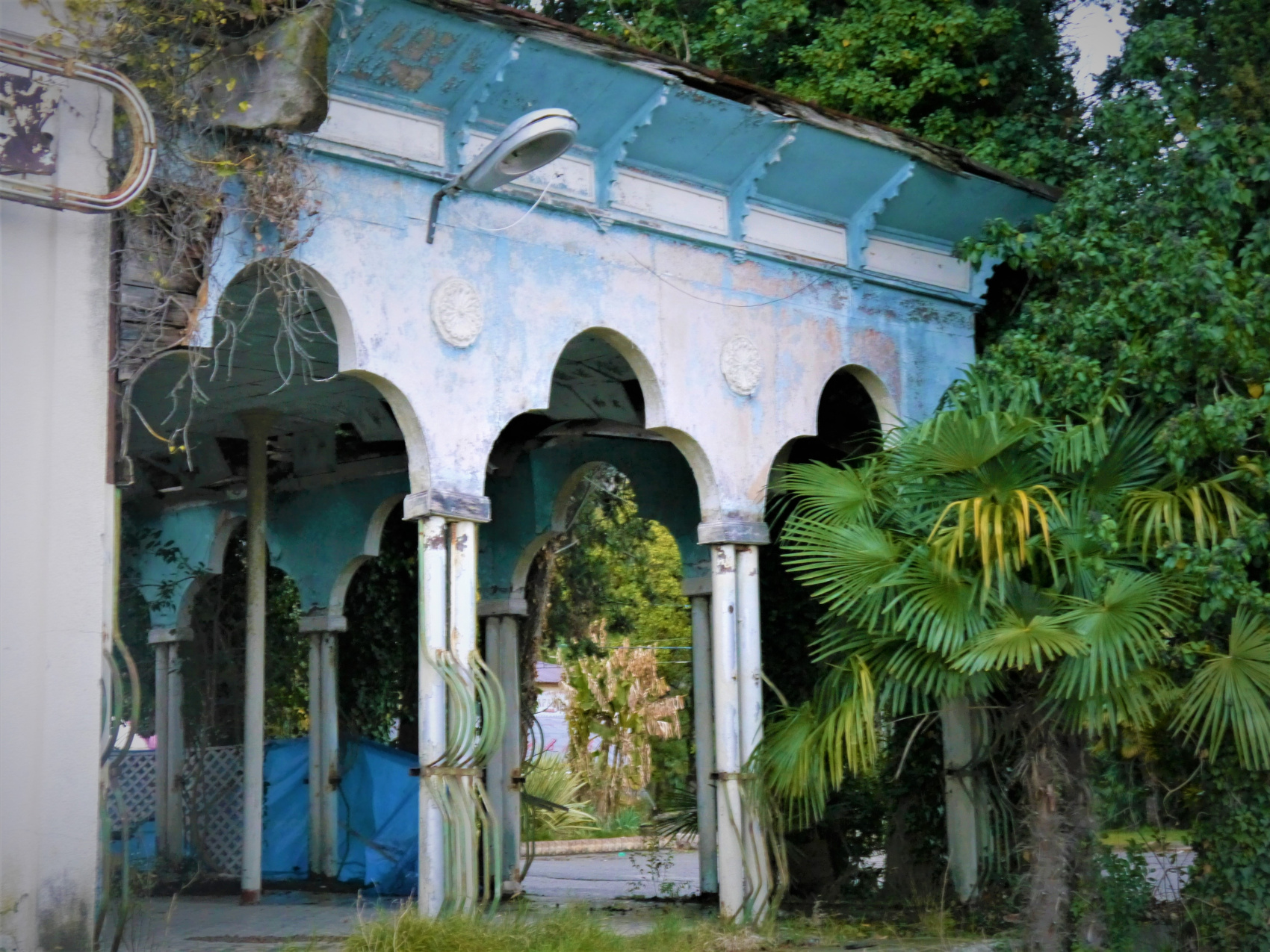 Большая душа маленькой Абхазии (41/88)