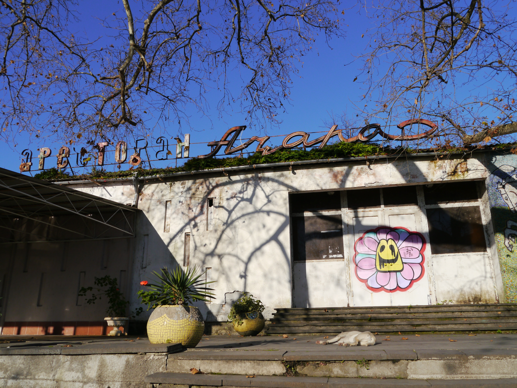 Большая душа маленькой Абхазии (22/88)