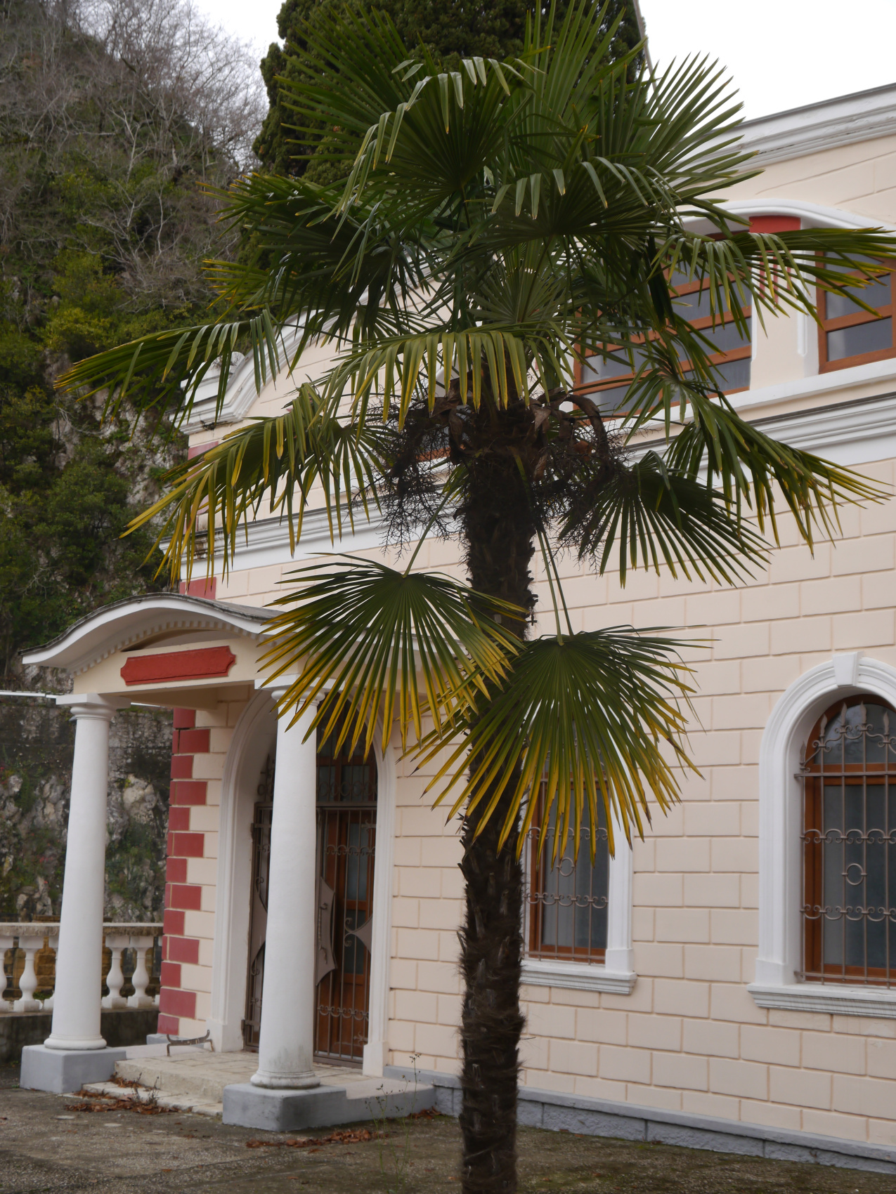 Большая душа маленькой Абхазии (28/88)