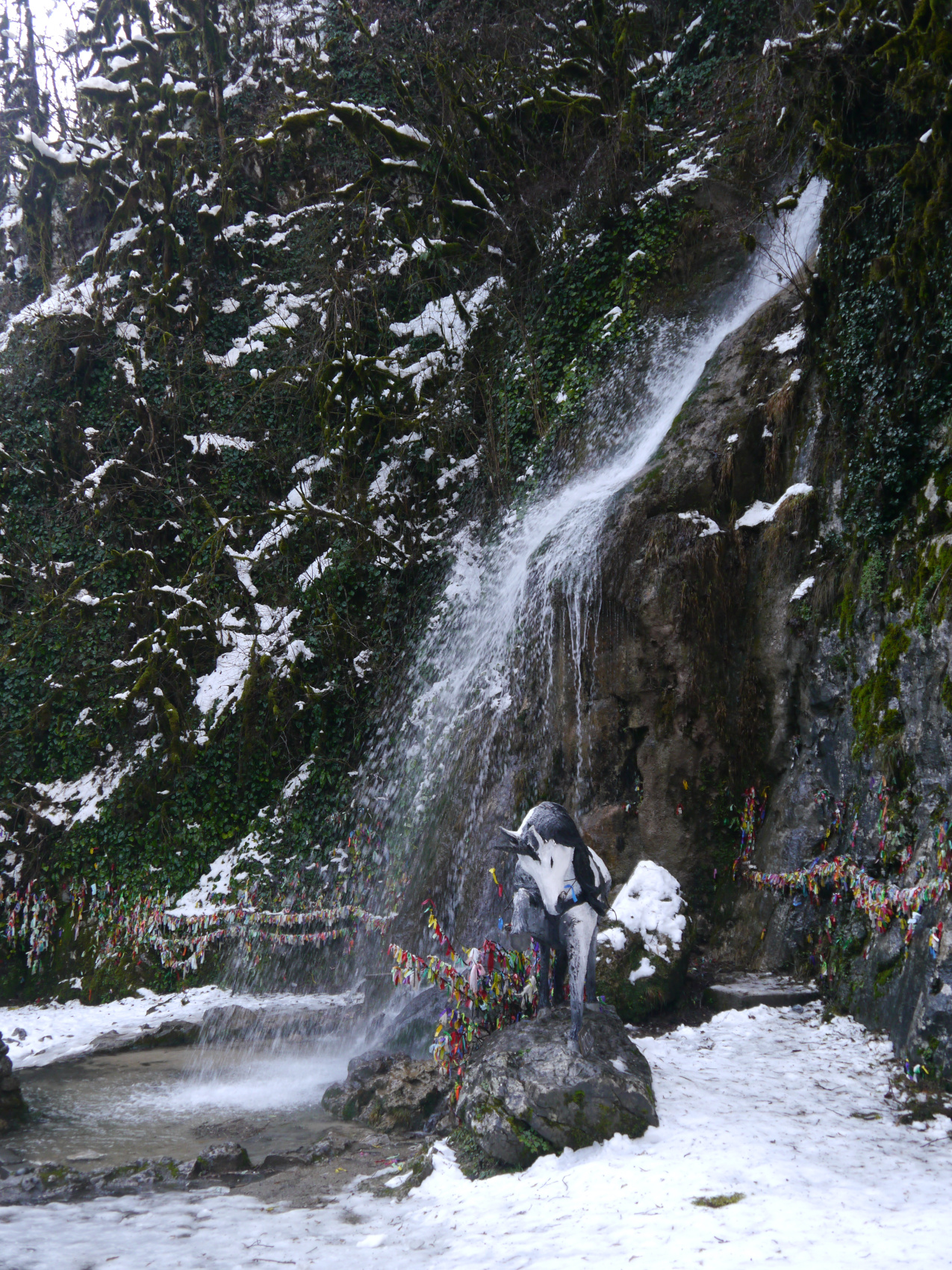 Большая душа маленькой Абхазии (30/88)