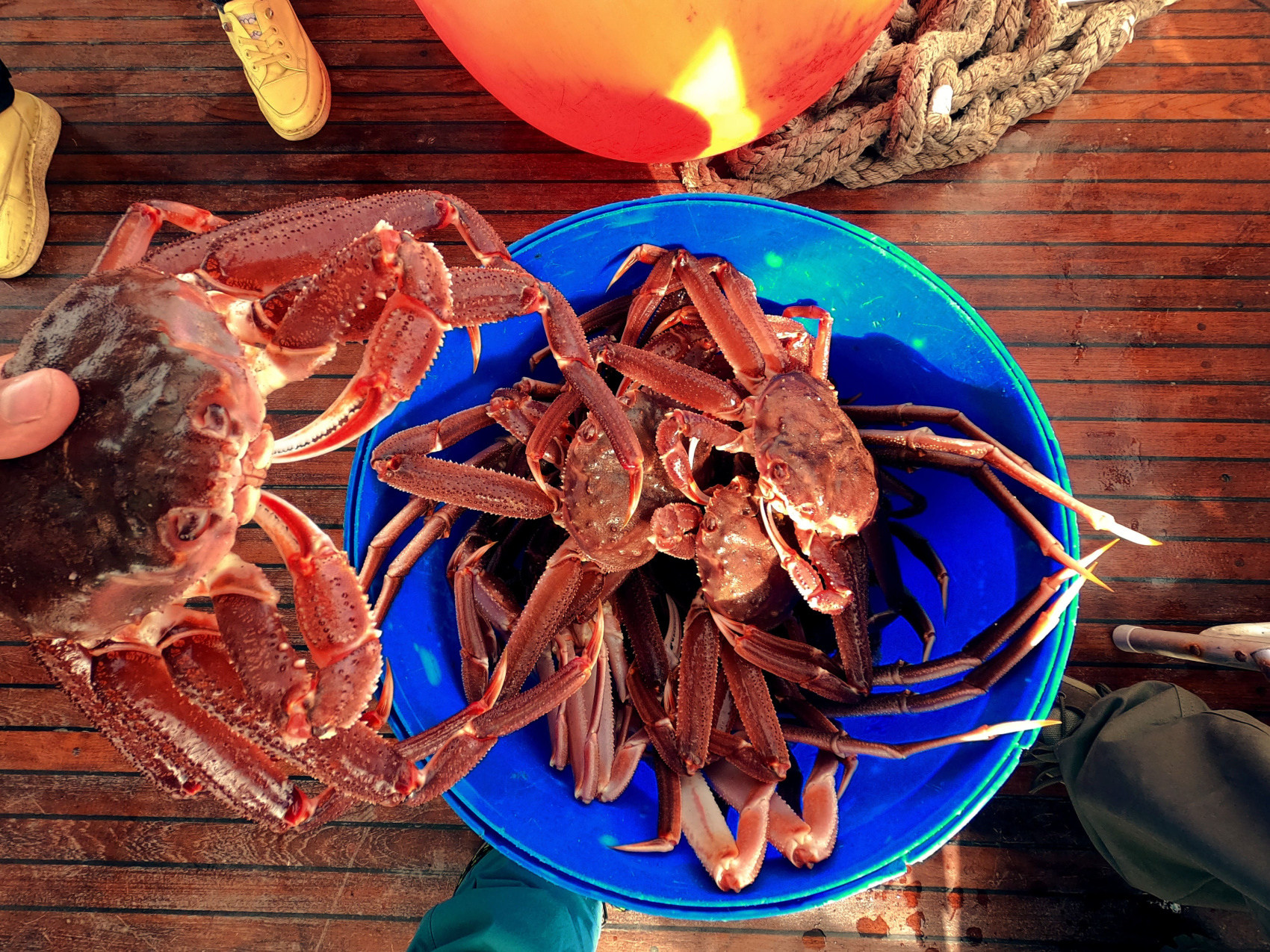 Камчатка для всей семьи питание, проживание, комфорт (11/45)