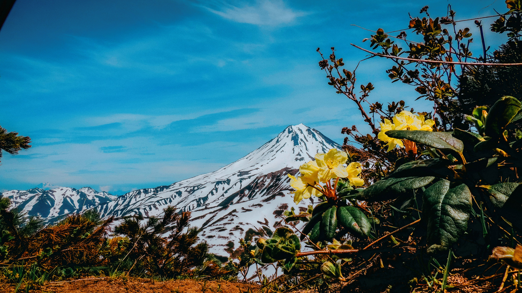 Камчатка для всей семьи питание, проживание, комфорт (10/45)