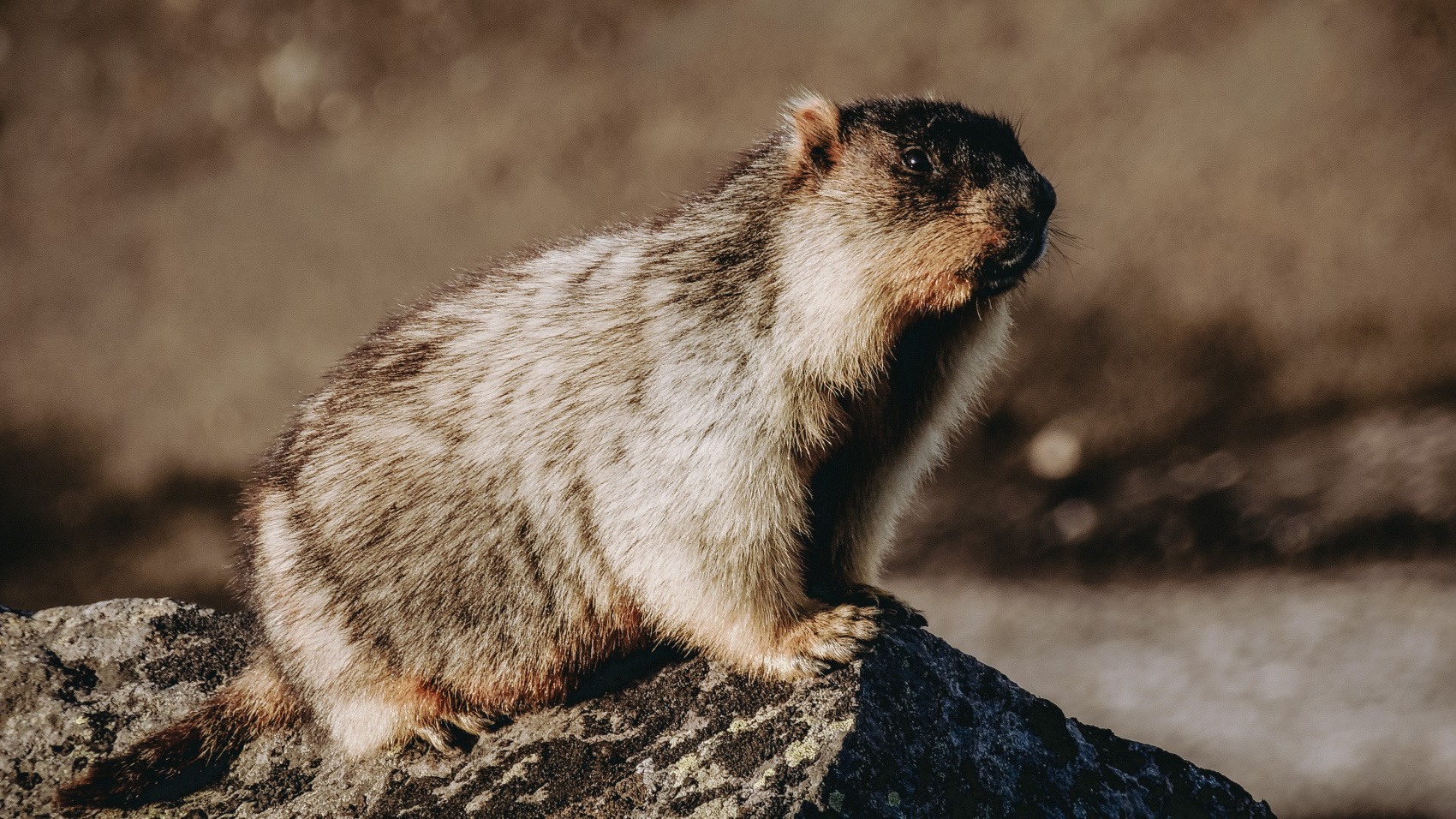 Камчатка для всей семьи питание, проживание, комфорт (13/45)