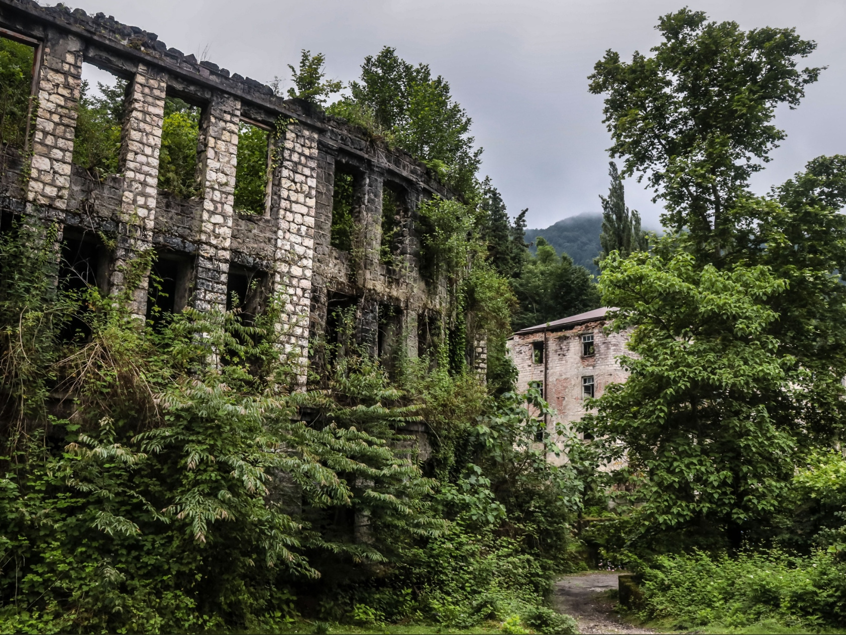 Топ Абхазии за 3 дня (8/42)