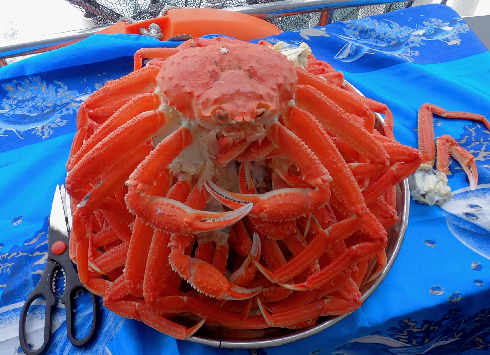 Камчатка От вулкана до океана (11/63)