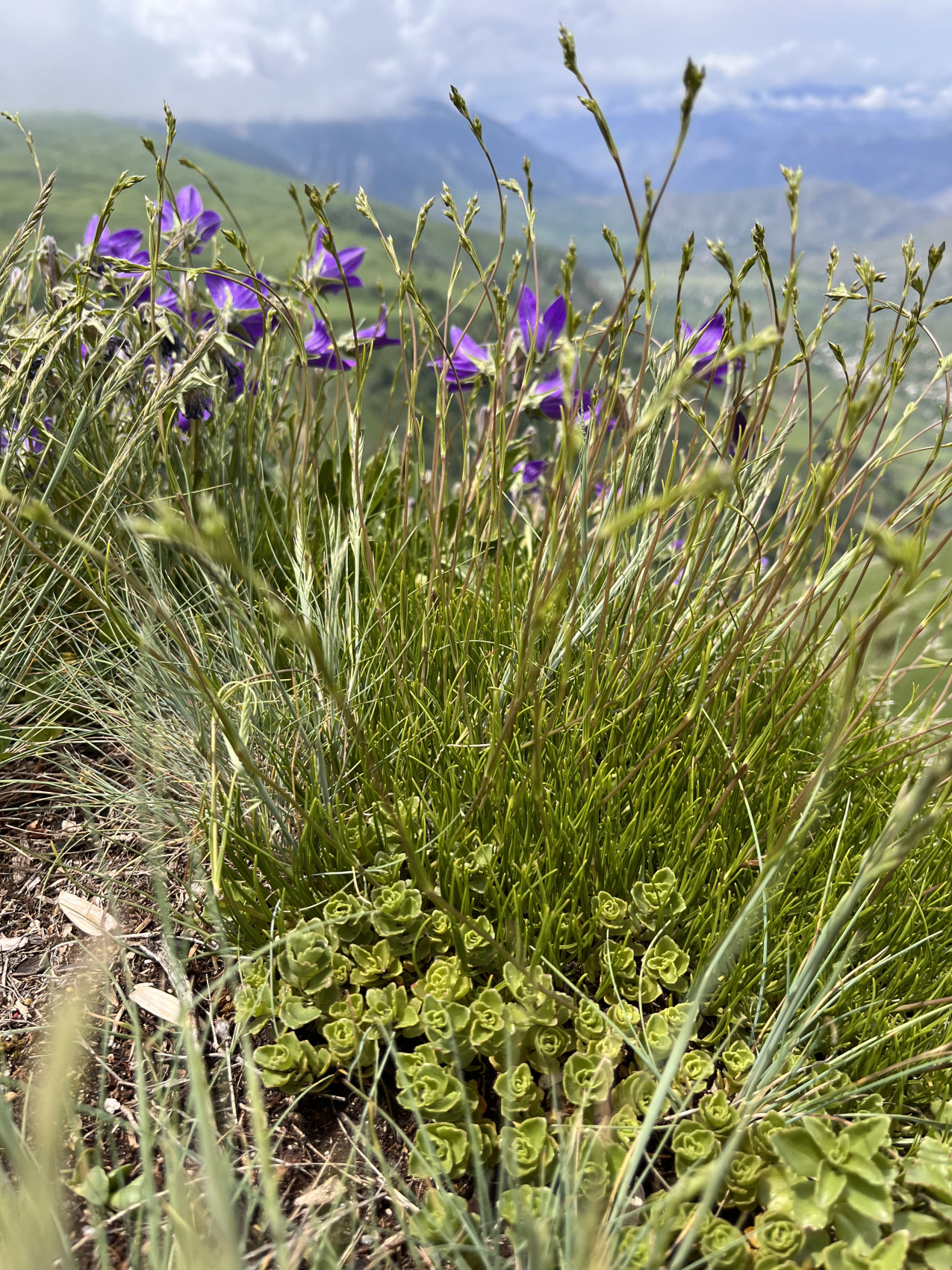 Комфортный тур в Дагестан все_включено (34/60)