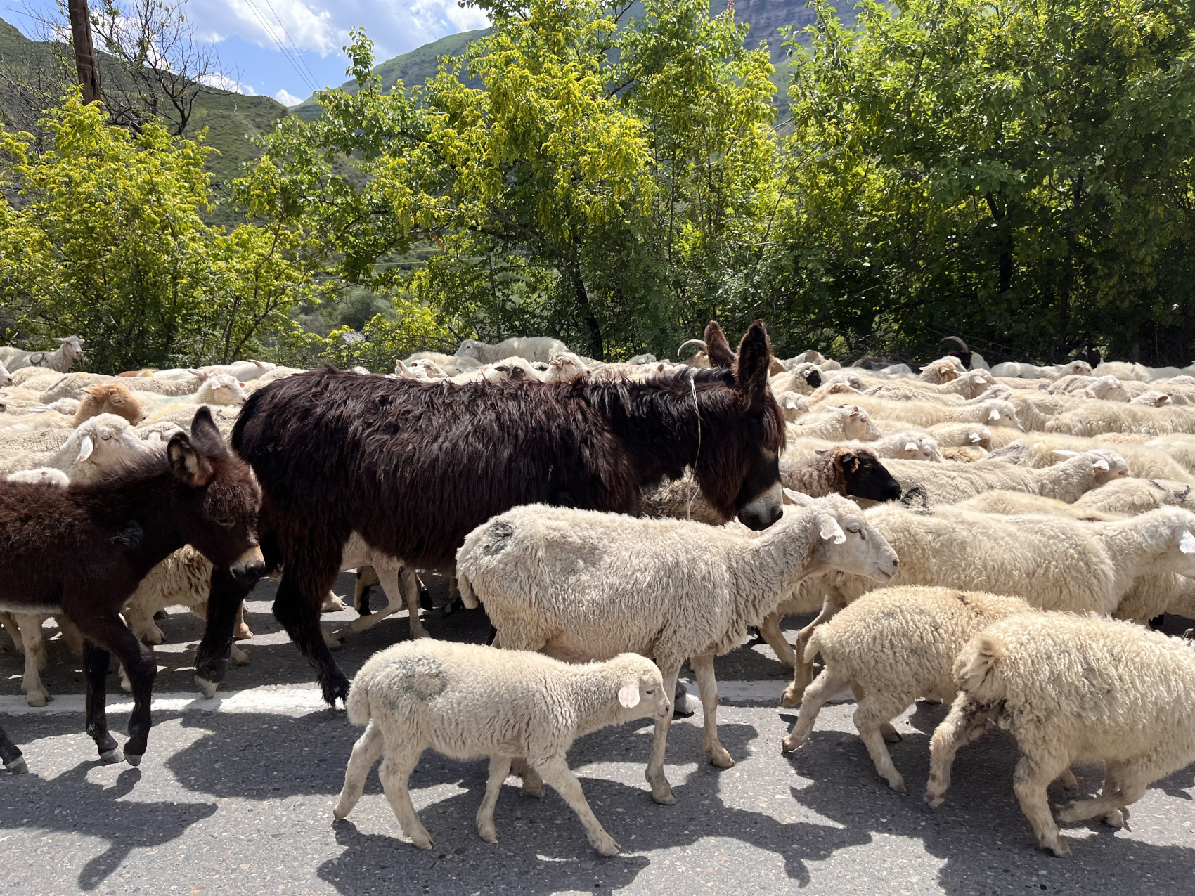 Комфортный тур в Дагестан все_включено (11/60)