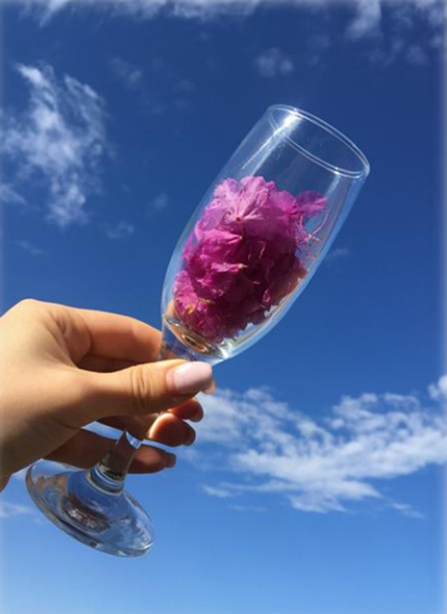 Авторская программа Магия Цветение Багульника На Байкале. Суперкомфорт. (7/72)