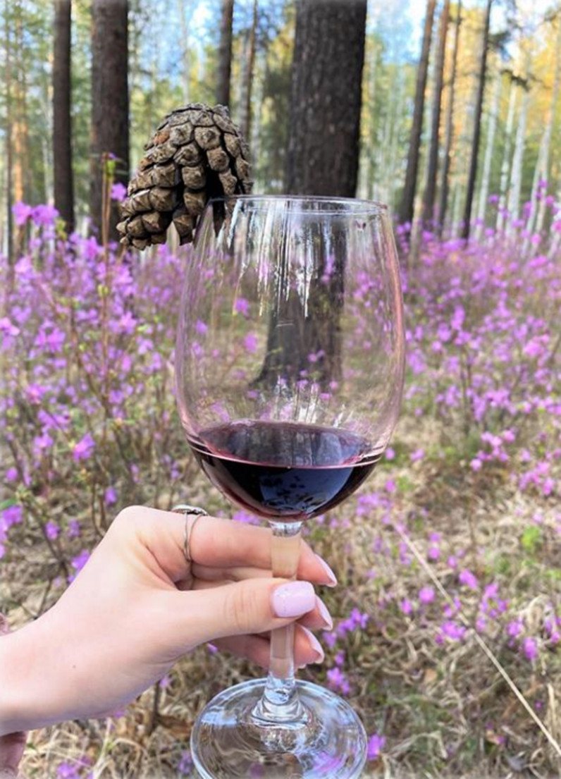 Авторская программа Магия Цветение Багульника На Байкале. Суперкомфорт. (2/72)