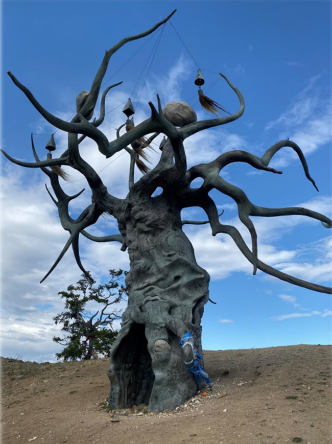 Авторская программа Магия Цветение Багульника На Байкале. Суперкомфорт. (11/72)