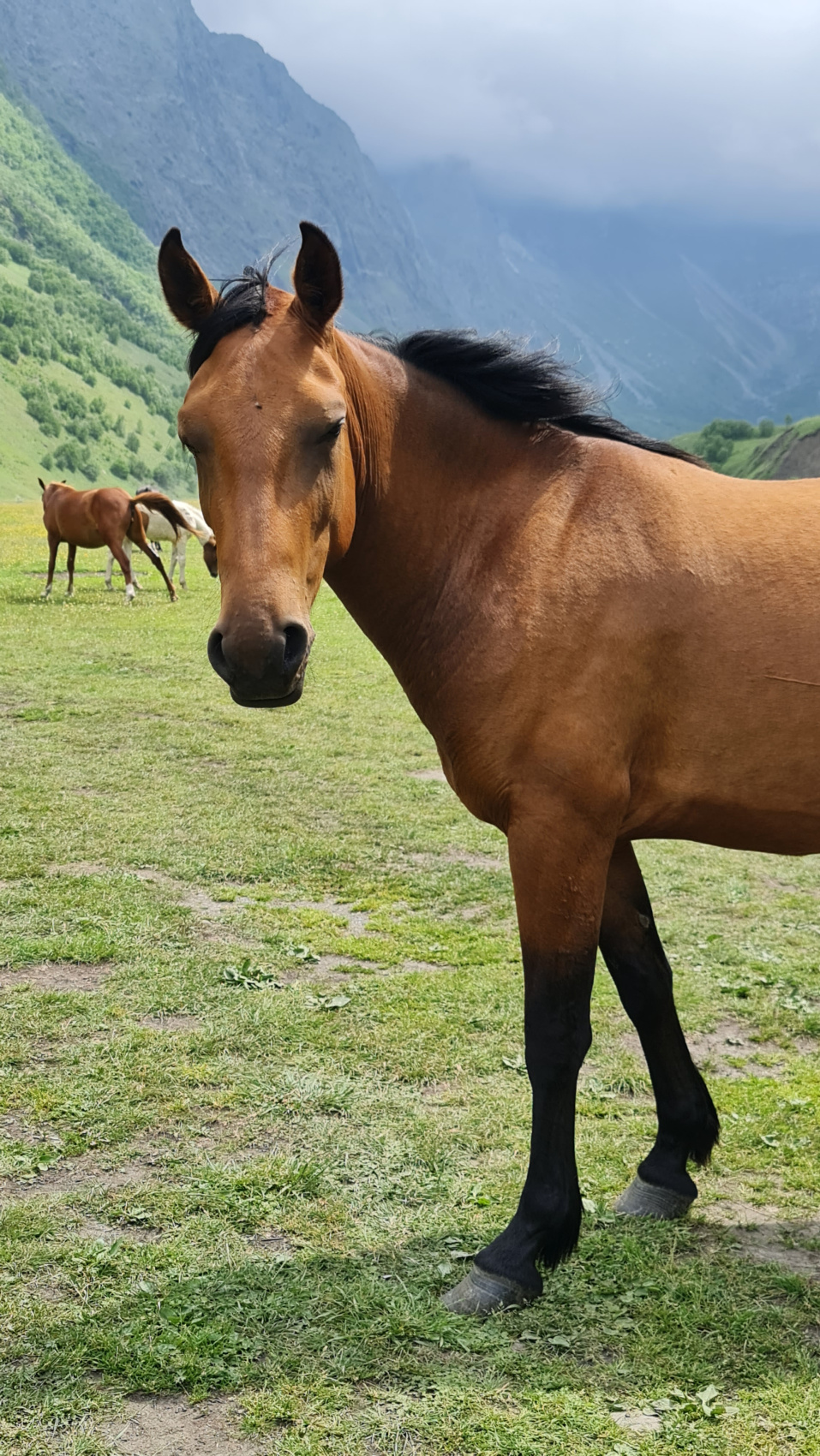 Важное событие лета. Звездопад Персеиды. (9/63)