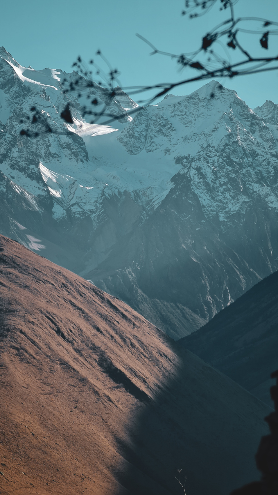 Важное событие лета. Звездопад Персеиды. (22/63)