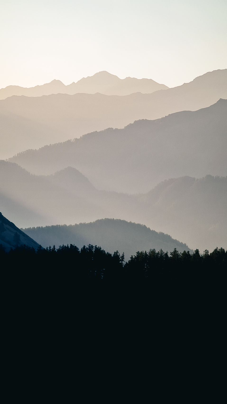 Важное событие лета. Звездопад Персеиды. (25/63)