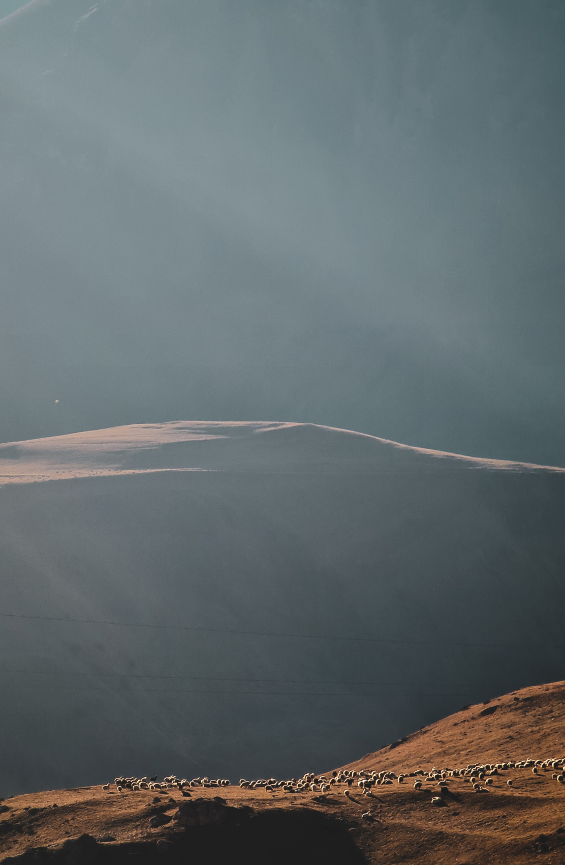 Важное событие лета. Звездопад Персеиды. (28/63)