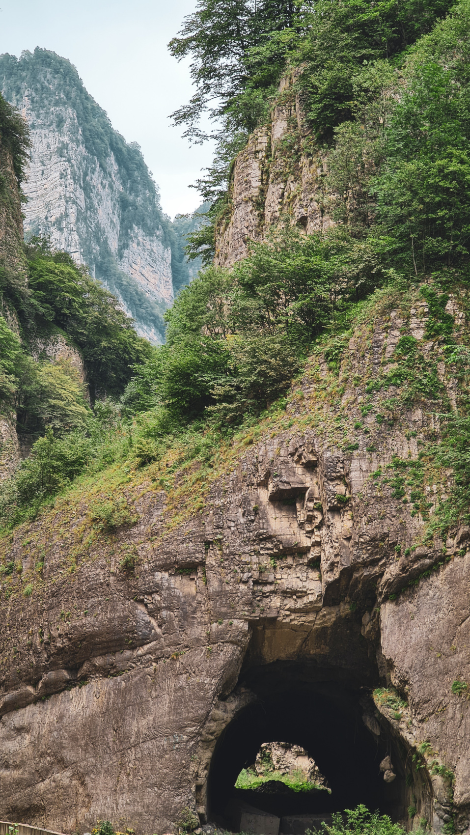 Важное событие лета. Звездопад Персеиды. (14/63)