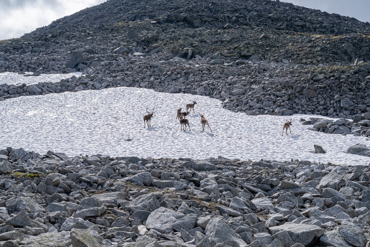 Поход по Приполярному Уралу с восхождением — горы Манарага и Народная (5/20)
