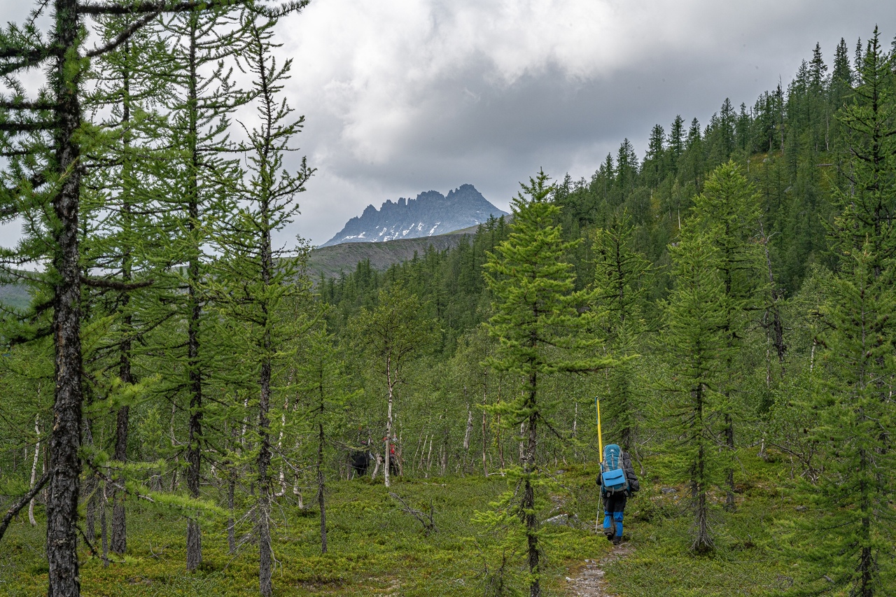 Поход по Приполярному Уралу с восхождением — горы Манарага и Народная (10/20)