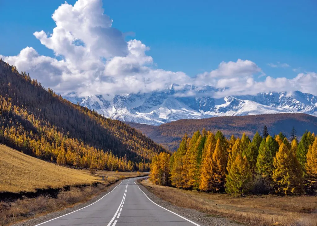 Золотое Кольцо Алтая - самостоятельный тур с поддержкой! (20/95)