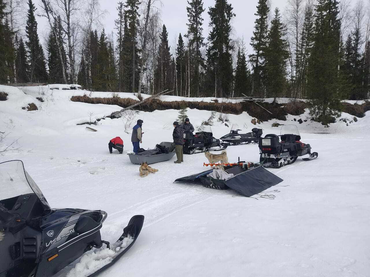Зимняя рыбалка на хариуса в малых притоках Печоры (3/19)