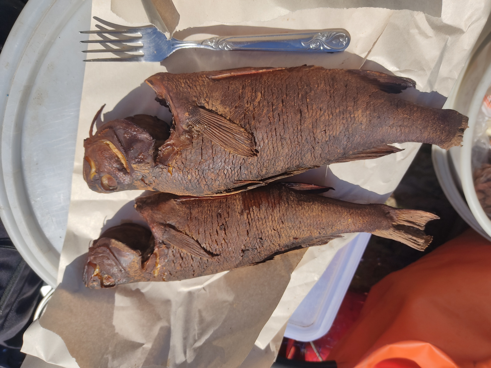 Рыбалка на хариуса в северных реках. Группы до 5 человек (13/48)