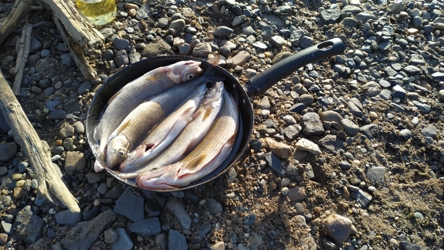 Рыбалка на хариуса в северных реках. Группы до 5 человек (12/48)